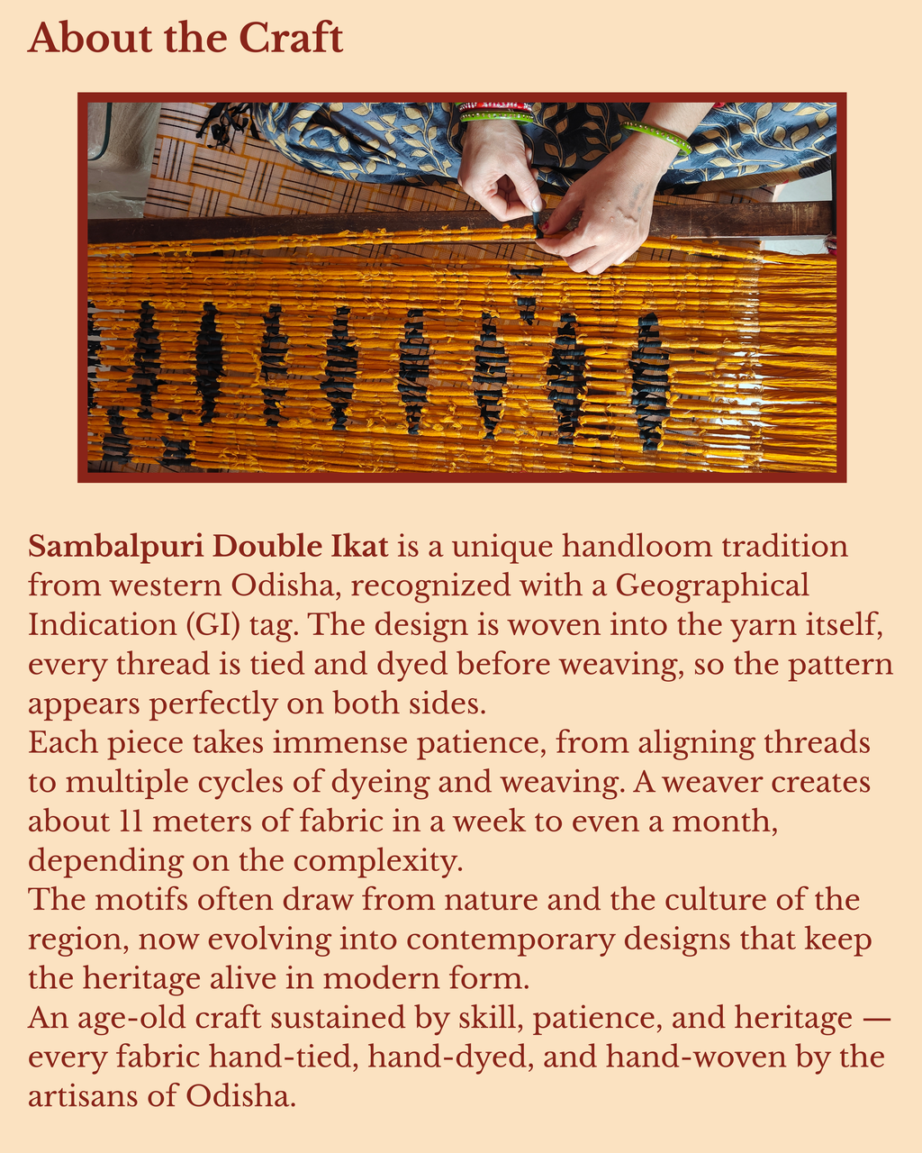 Noor Ikkat Handloom Dress